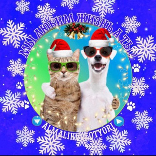 ☃️АЛМ/ЗООВОЛОНТЕРЫ☃️