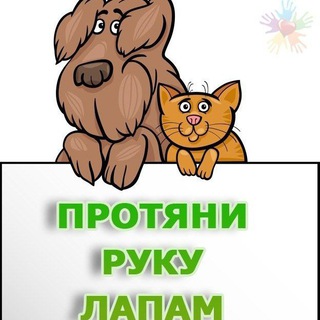 Волонтёры 🐶🐈 Алмалык