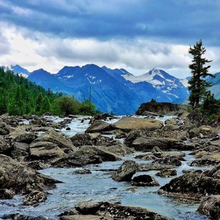 Строительство на Алтае🏔🏡