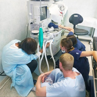 Анестезиология и реаниматология