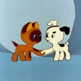 Животные. Раменское 🐱🐶🐠