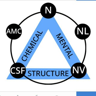 Прикладная кинезиология для любителей