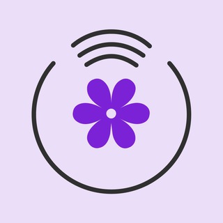 Арника|Обсуждение