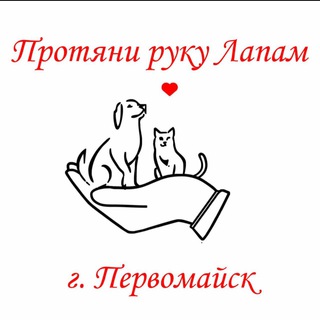 Протяни руку Лапам🫶