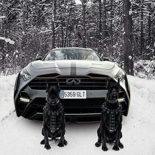 🇷🇺 АВТОРЫНОК 🇷🇺 !!! ПРОБЛЕМНЫХ-АВТО-РФ 🇷🇺 ☑️☑️☑️