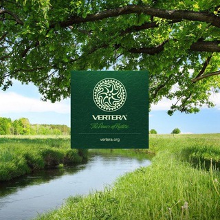 🌱 Про здоровье, молодость, красоту, морские водоросли и доход 🌱