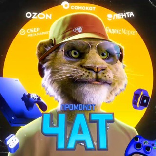 Промокот Chat