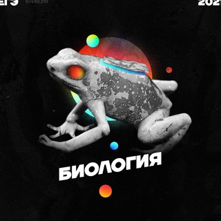 ЧАТ ЕГЭ|БИОЛОГИЯ|2024