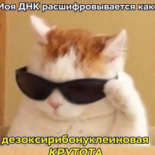 Биология C-часть