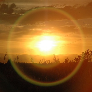 ☆Bit Life☆ - Децентрал: обучение и обсуждение