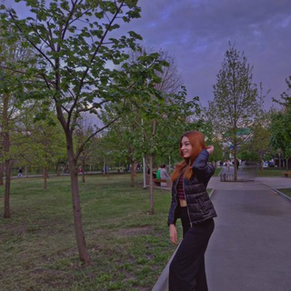 Новости Аладина🧞‍♂