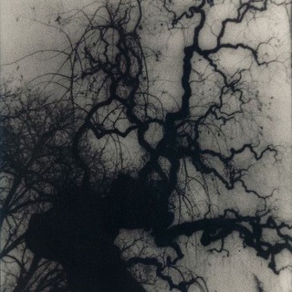 •✞ alis lane ✞•