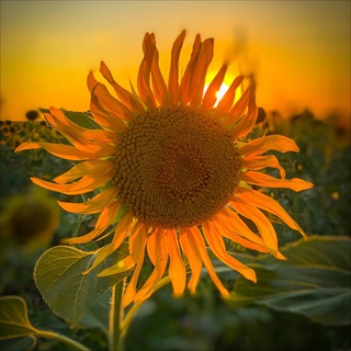 Все о жизни