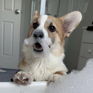 Алёна (lifestyle) Фотоальбом