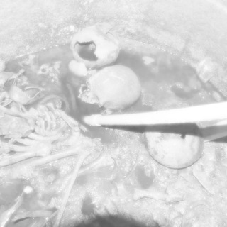 ч̅͐е͒͝л̓̓о̗́в͛͘е͌̕к̻̈ӧ́͡н̑͂ен̟͒а͘͠в͛̌ис̌̇т̅̃н̉͠й̈́ч̀̐е́̎с̂т̪͐вӧ́̾