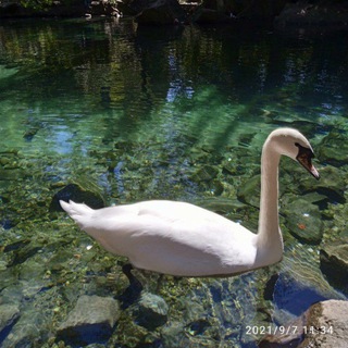 Анастасиевская-Кубань-Крым