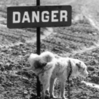 Вылавировали корабли