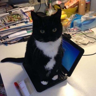 херов андре щп