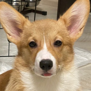 В гостях у AndyФу🏠