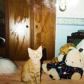 затуманенное сознание