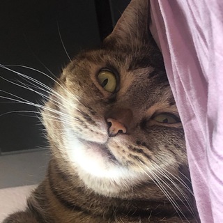 дьявол в деталях