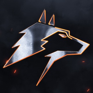 Альфа трейдер | Бинарные опционы