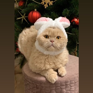 Нежный Канал Элис Мос