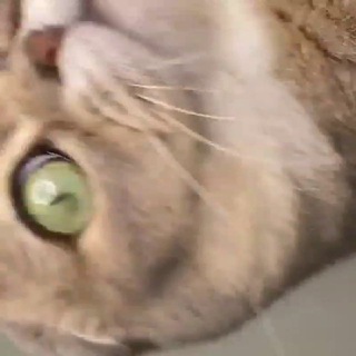 ☘ 𝐔𝐲𝐮𝐭𝐧𝐲𝐲 𝐜𝐡𝐚𝐭𝐢𝐤 ☘