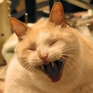 Бугагашечка😆