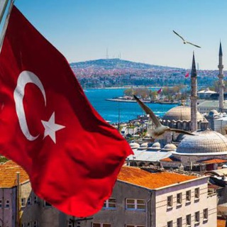 БИЗНЕС с ТУРЦИЕЙ🇹🇷