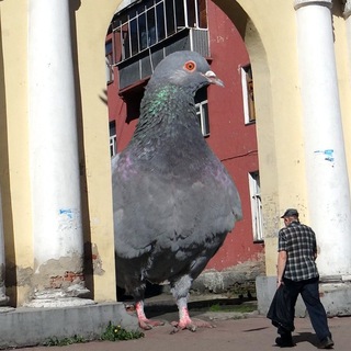 Междуреченская буза