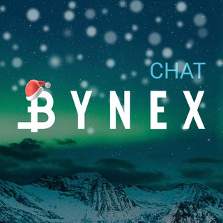 BYNEX Chat
