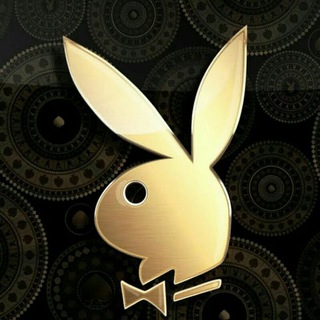 КазиноТВ VikaTorry stream (YouTube)