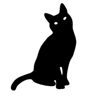 Сфера красоты