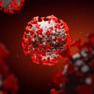 SARS-CoV-2 чат и общения (chat)