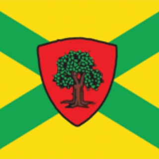 Чат Докучаевска