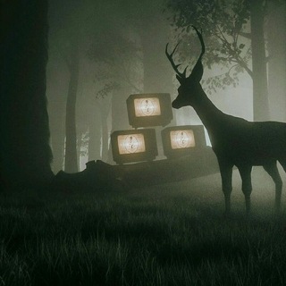 Олень на аве