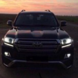 Чат участников Palmaa.1