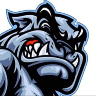 ELITE RUS FIGHTERS 💪🏿 ЧАТ