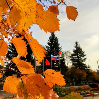 Чат с жителями Веселево