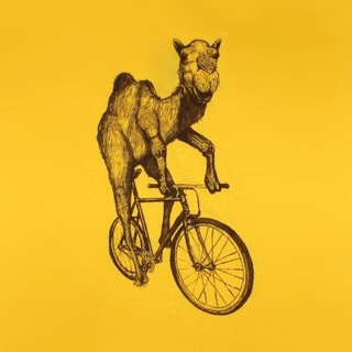 Вело-Челябинск