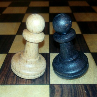 Шахматы для начинающих