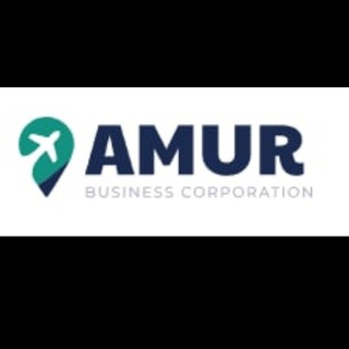 Официальная доставка из Китая AMUR