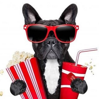 Что Посмотреть🦦Чат🎞