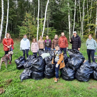 Чистый лес _ ЖК Саларьево Парк