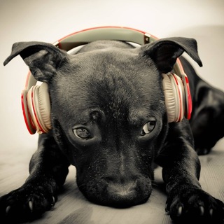 Клипы__2020 Chat