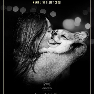 Чат Дорогой Рекомендации