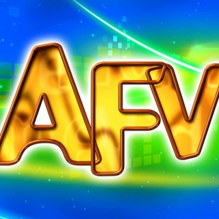 Cool_video_afv