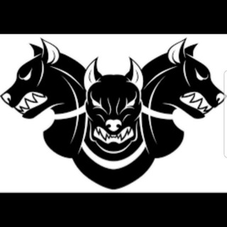 CERBER Bet™ чат