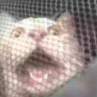 хлебные мякиши✨